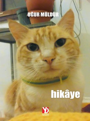 cover image of Hikâye